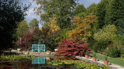 A view across a rectangular pool with a blue bench in the background, trees are in gold and brown leaf for autumn and the sun is shining.